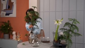 ЁЛКИ, которые НЕ ДЛЯ ВСЕХ 🫢😲🤤🌲