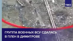 Группа военных ВСУ сдалась в плен в Димитрове