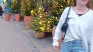 Зеленоградск 2 Калининград