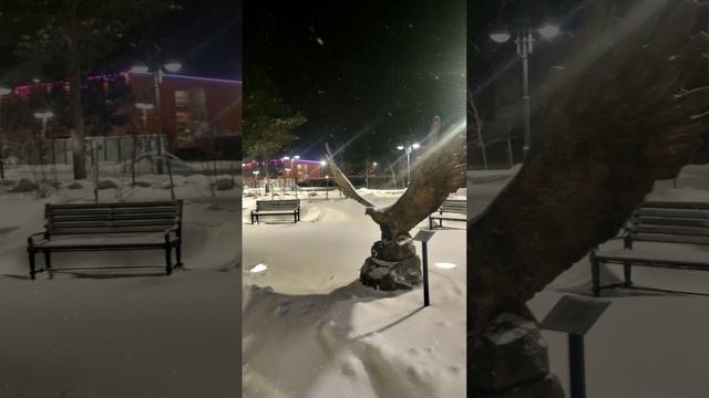 Настоящая зима: хруст снега и -14 градусов.❄️👫