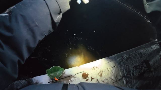 Закрыл сезон открытой воды по форели в "Клевом месте" на безлимите! Батоны порадовали поклевками.