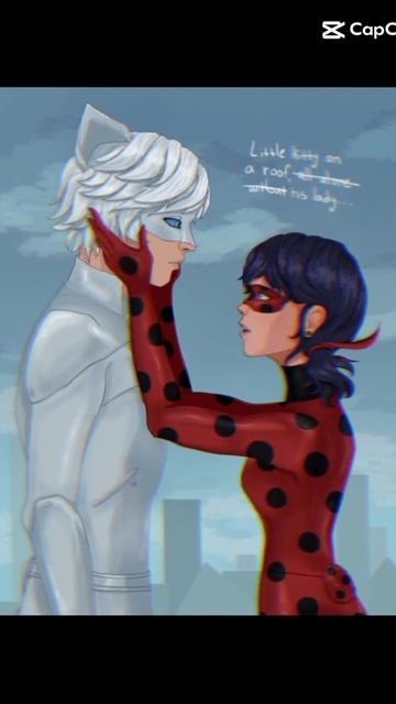 леди баг и супер кот