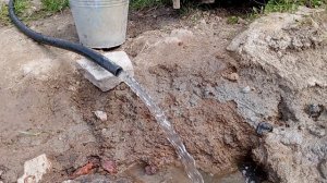 Результат Порошкино Всеволожский район