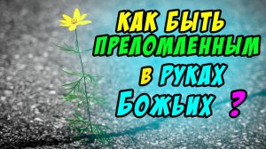 Как быть преломленным в руках Божьих? - Василий Савич. Христианские проповеди