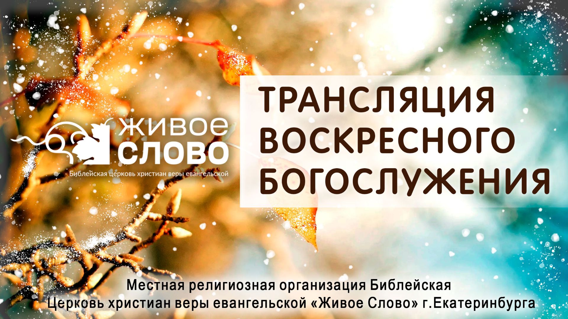 14 декабря 2025 в 11:00 (ЕКБ) / Воскресное #Богослужение / Церковь «Живое Слово» смотреть онлайн
