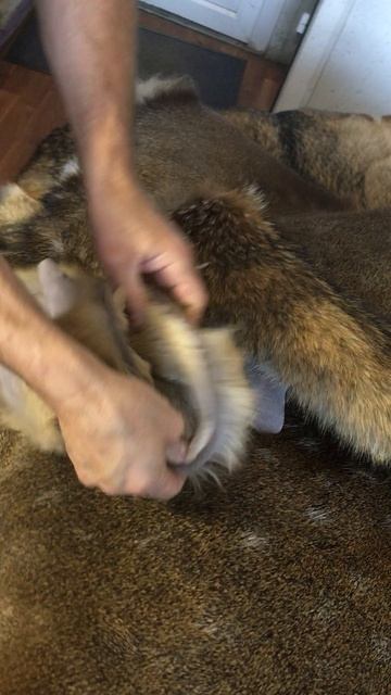 video-07-12-21-01-42