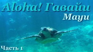 Гавайские острова. Мауи. Капалуа.