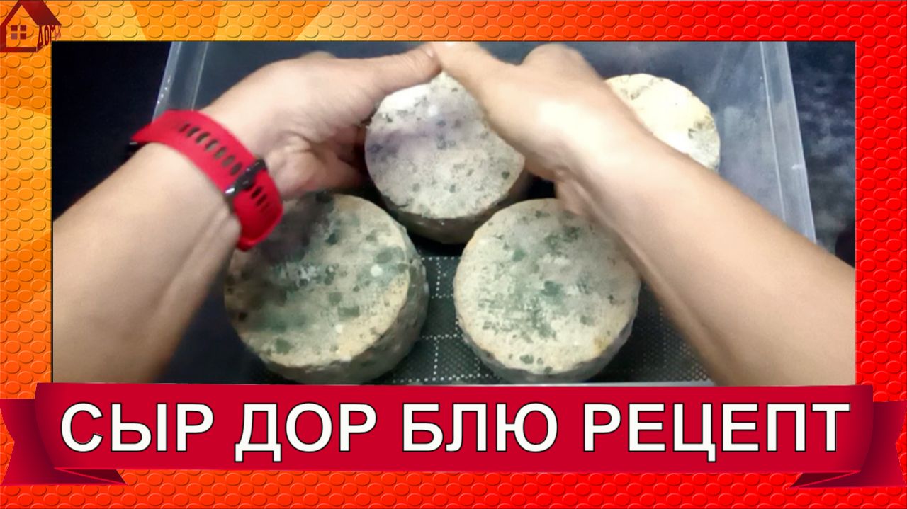 Сыр Дор Блю * Рецепт в домашних условиях/ Dor Blue Cheese