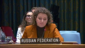 Выступление А.М.Евстигнеевой в СБ ООН по ситуации в Центральноафриканском регионе