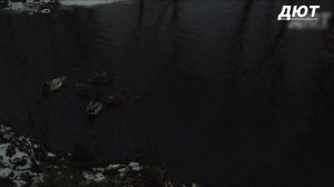12 Декабря, 7 уток на сасовке.