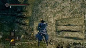 Dark souls 1 - третья чаша