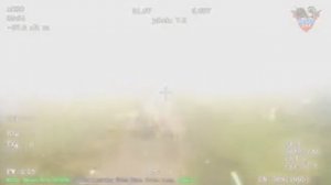 хохлик в тумане.Хитрющий думали не видим