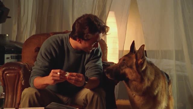 КОМИССАР РЕКС