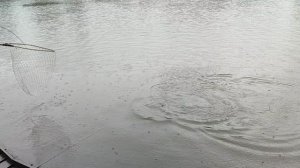 Основной водоём. На пасту.