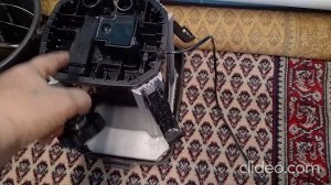 Мои аквариумы 12.12.2025г.