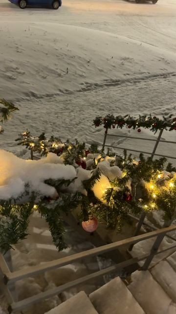 Груминг_салон_Модные лапки_2