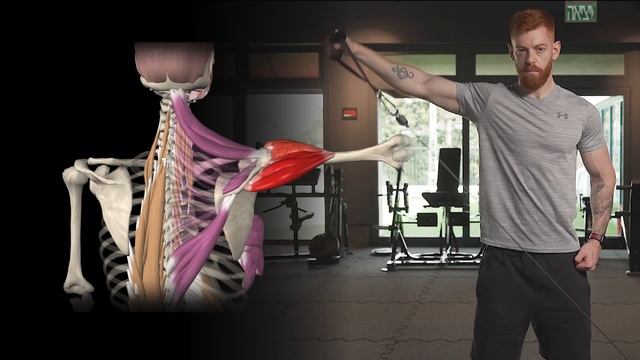 Отведение руки с резинкой (махи резинкой)