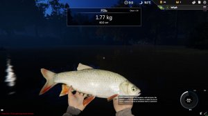 Professional Fishing: Рыбачим Дома ! :-)