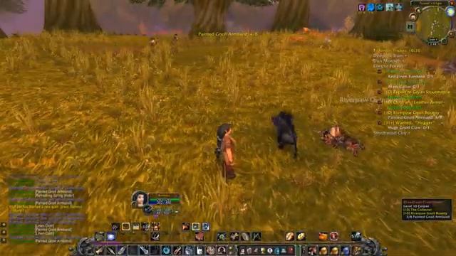 WoW Classic HC Leveling Campaign for Relaxing Sleep Study - Dwarf Hunter Pt 4 - Chill Gameplay