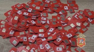 Трёх юношей, обслуживающих узлы связи в интересах онлайн-мошенников, изобличила полиция Подмосковья