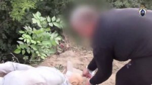 Протащил по дороге и добил кувалдой: убийца из Ростовской области сел пожизненно