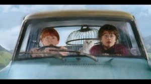 Гарри Поттер и Рон Уизли спели малиновая лада al cover Gayazovs Brothers