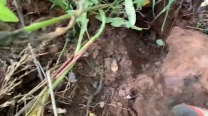 Разборка цветного металла.