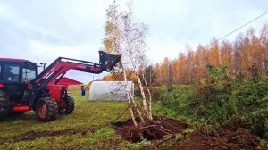 #332 Digging up Roots and Planting New Ones 27.10.2025