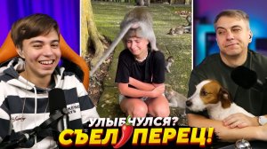 ЭТО ВИДЕО ДОЛЖНЫ ЗАПРЕТИТЬ! ➢ ЗАСМЕЯЛСЯ - Съел ПЕРЕЦ! Мамина подборка №49
