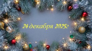 Новое поступление 24-12-2025