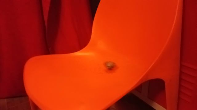 спрайзен с2 против ронгаур р3