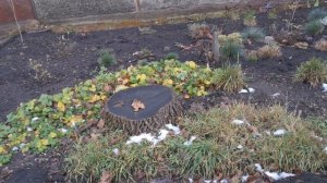 1000015030.mp4  🖋️🚀МОЯ ЖИЗНЬ БЕЗ РЕТУШИ💃🔥 МОИ БУДНИ 🖋️🚀