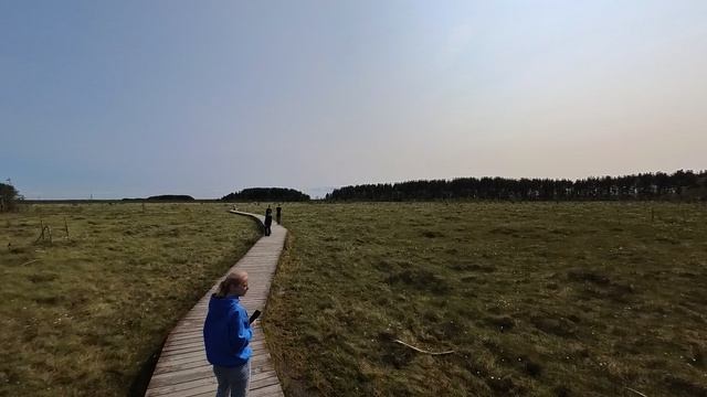 2025.06.04. Сестрорецкое болото. Ч.3