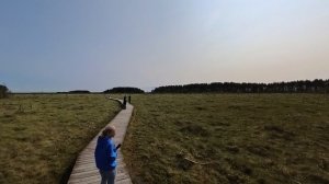 2025.06.04. Сестрорецкое болото. Ч.3