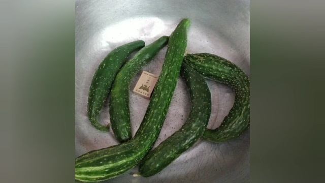 Огурцы с AliExpress "Китайский змей". Выписали семена, посадили, вырастили. Что получилось?