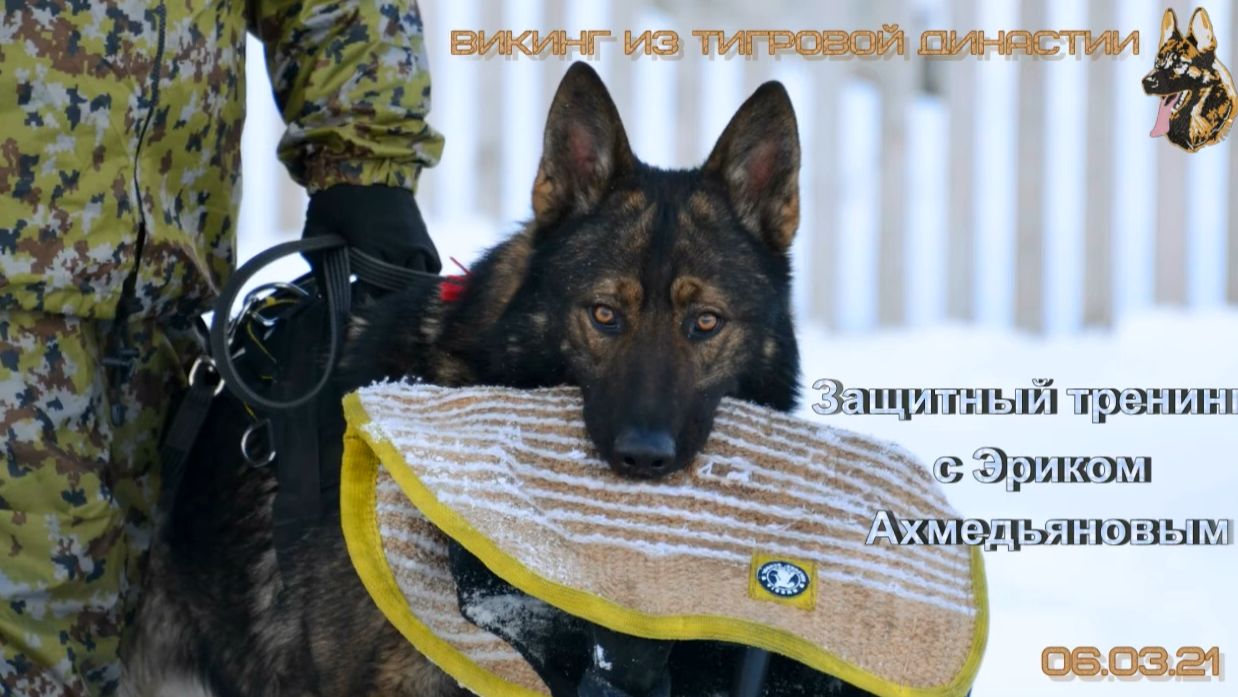 Защитный тренинг с Эриком Ахмедьяновым. Омск 6.3.21