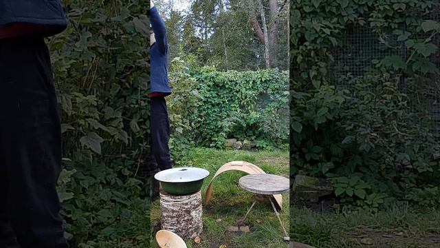 моё хозяйство