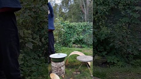 моё хозяйство