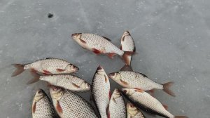 Второй выход на лёд. сезон твёрдой воды. сезон 25-26.