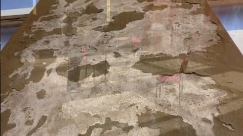 HILDEGARD Aer enim volat