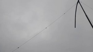 🏆ЭТИ ГОЛУБИ - ДОСТОЯНИЕ РЕСПУБЛИКИ🏆ПРОДАЖА 📞+79494406619