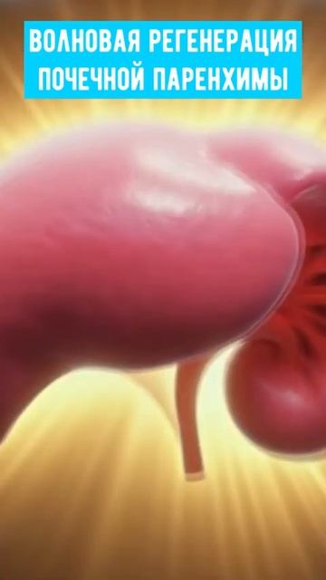 Матрица Гаряева ⎢ Чистые почки без камней и отёков смотреть онлайн