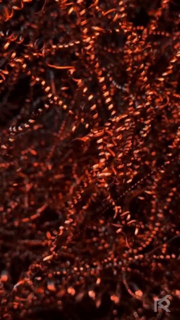 Секреты в кольцах и спиралях: что скрывает эта стружка? смотреть онлайн