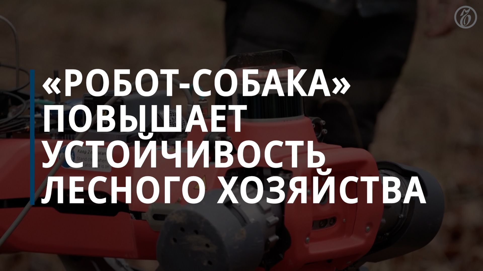 «Робот-собака» повышает устойчивость лесного хозяйства