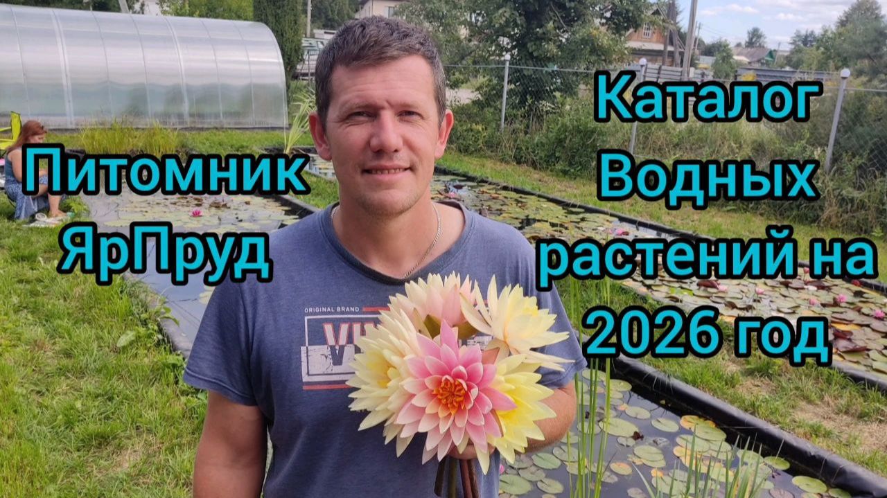 Питомник ЯрПруд Каталог Водных растений на 2026 год
