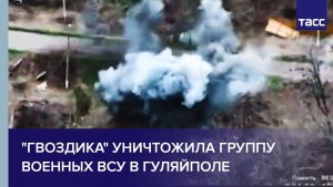 "Гвоздика" уничтожила группу военных ВСУ в Гуляйполе