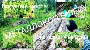 МЕТАЛЛОКОП !!! Ищу Металл по Непролазным Дебрям и он Есть