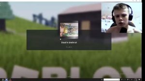 Я играю в укради брейнрот