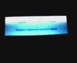 carousel_dozamalia2016