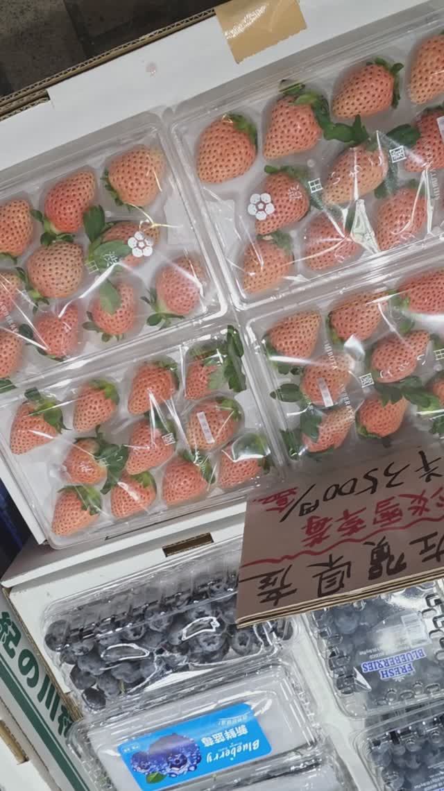 Дегустируем белую японскую клубнику, очень дорогую в Москве и зашли в магазин собачек в Токио